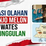 PKK Desa Wates Gelar Lomba Olahan Melinjo & Melon: Cetak UMKM Baru